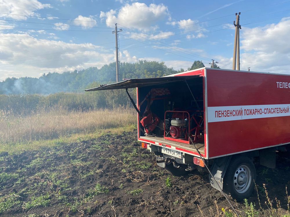 В Пензенском районе огонь тушили на площади 200 квадратных метров