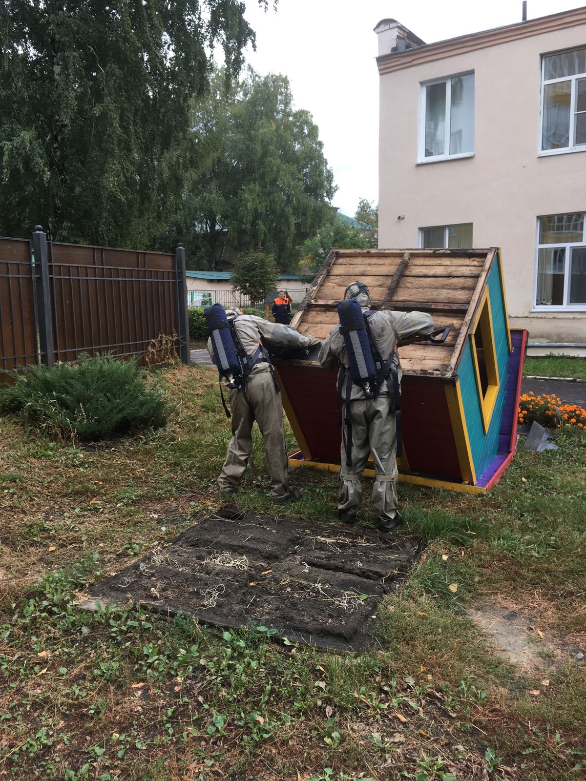 В пензенском детском саду спасатели ликвидировали осиное гнездо