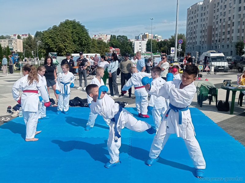 В Пензе на Юбилейной площади прошла акция-презентация спортивных школ