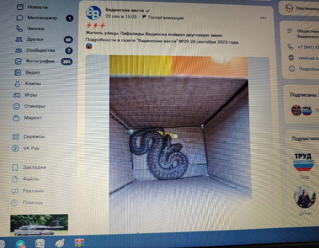 В Вадинске съели пойманную двухглавую змею