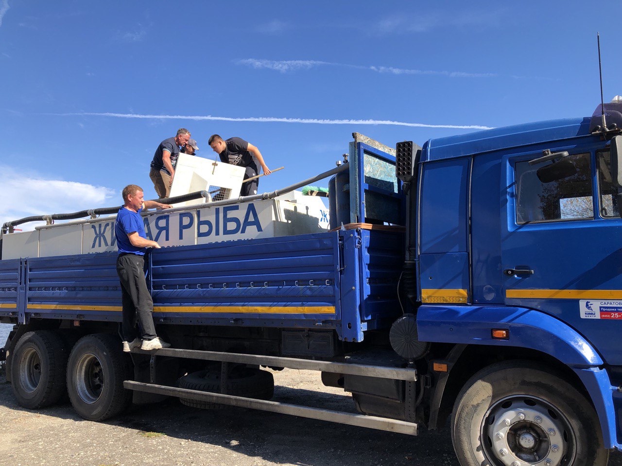 В Сурское водохранилище выпустили 400 штук молоди стерляди