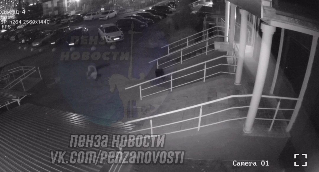 Следователи начали проверку по факту гибели подростка в Засечном