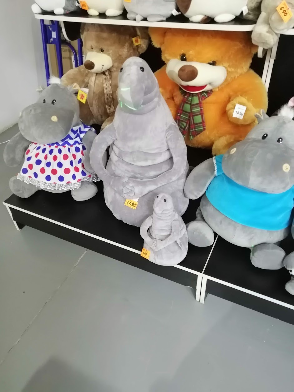 Москвичка-обманщица при помощи кукол выманила деньги у жительницы Заречного