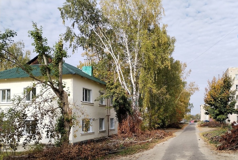 Жителям Никольска ответили, когда уберут поваленные ураганом деревья