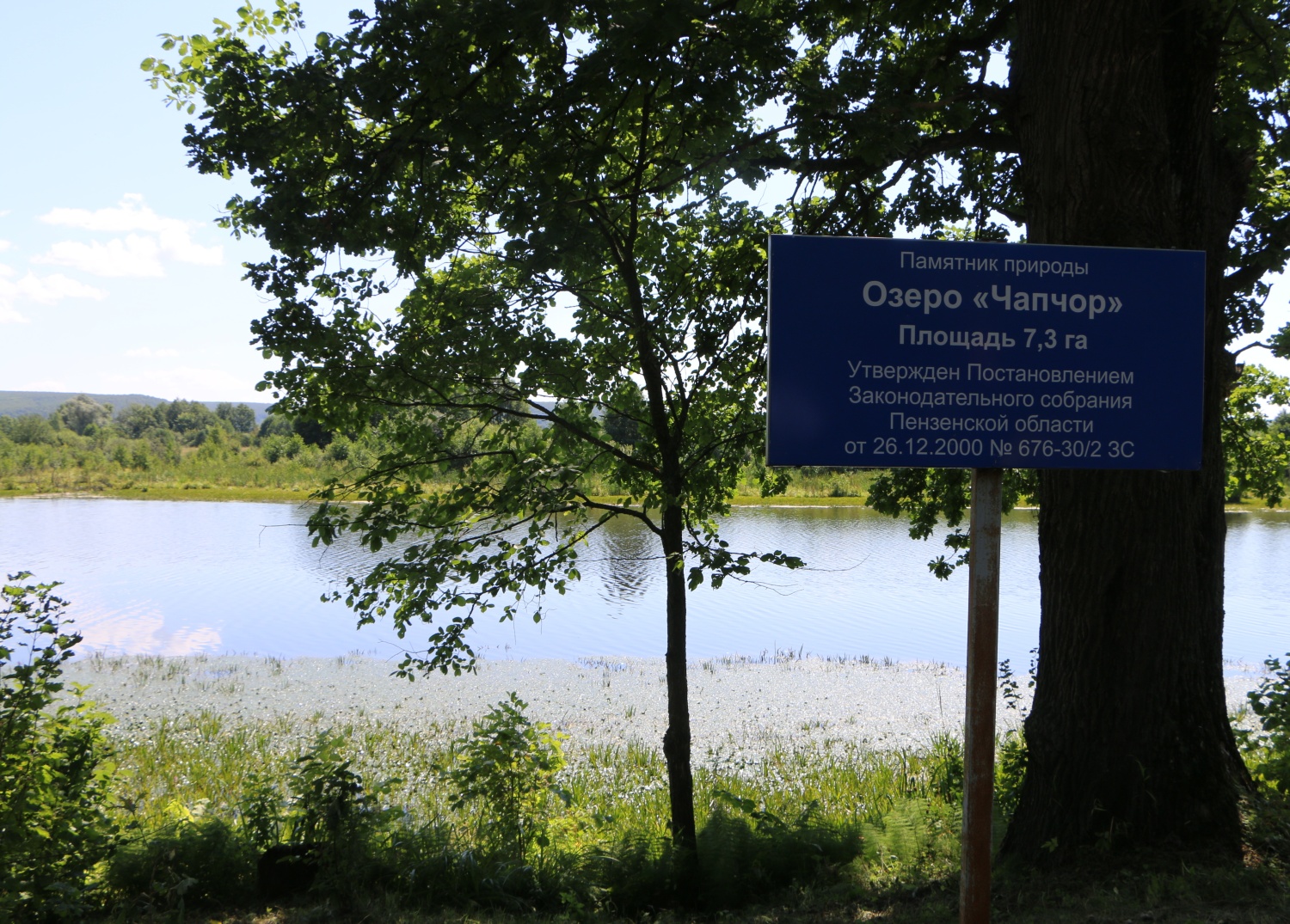 В Пензенской области создали 91 особо охраняемую территорию