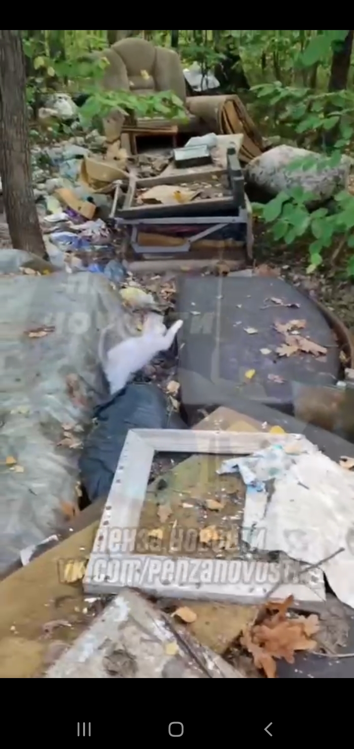 В арбековском лесу в Пензе нашли свалку с иконами и церковной утварью