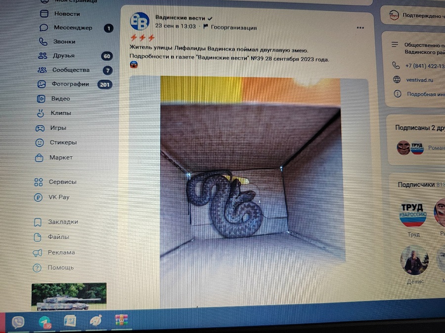 Пензенцам рассказали, что могут сделать с двуглавой змеей, пойманной в Вадинске