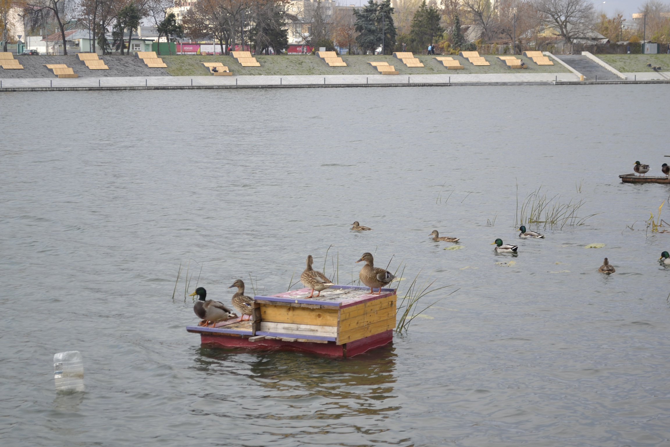 Двое мужчин из Бековского района попали под суд за незаконную рыбалку