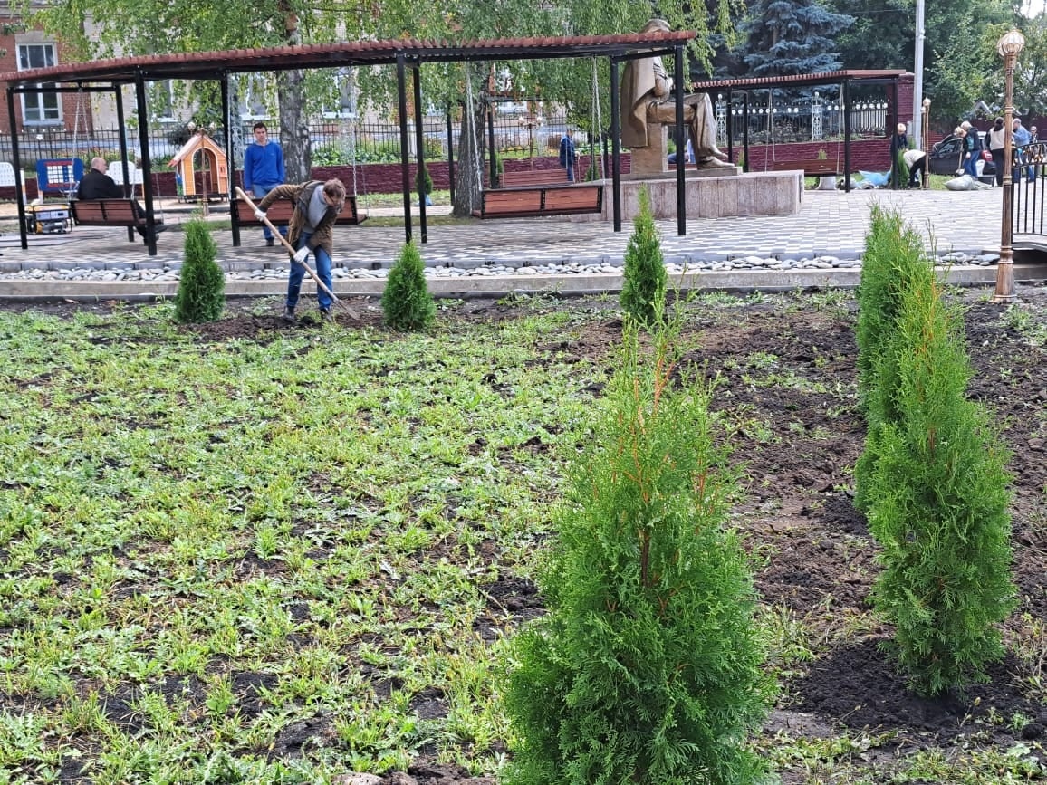 В Сердобске в сентябре начали озеленять сквер Яблочкова