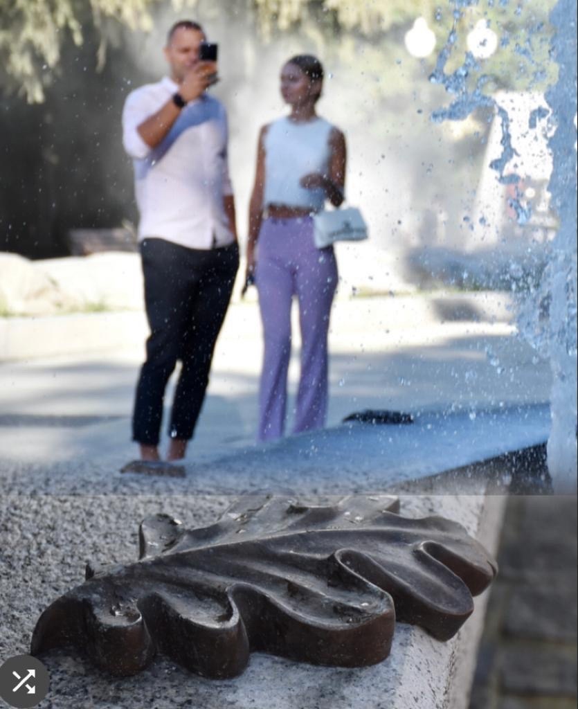 В Пензе новый фонтан обезопасили от самокатчиков кованными листьями дуба