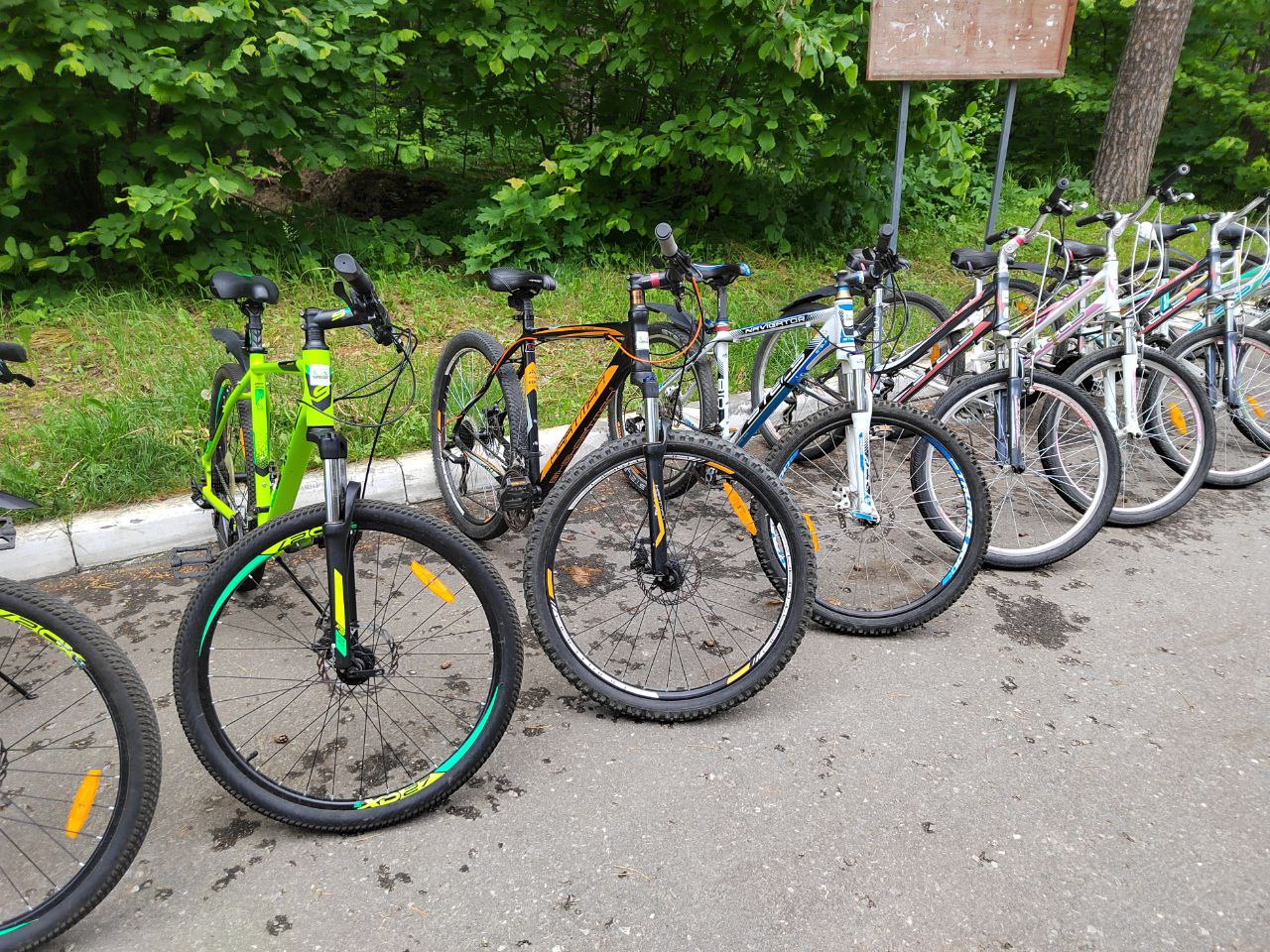 Жителям Кузнецка обещают насыщенные спортивные выходные