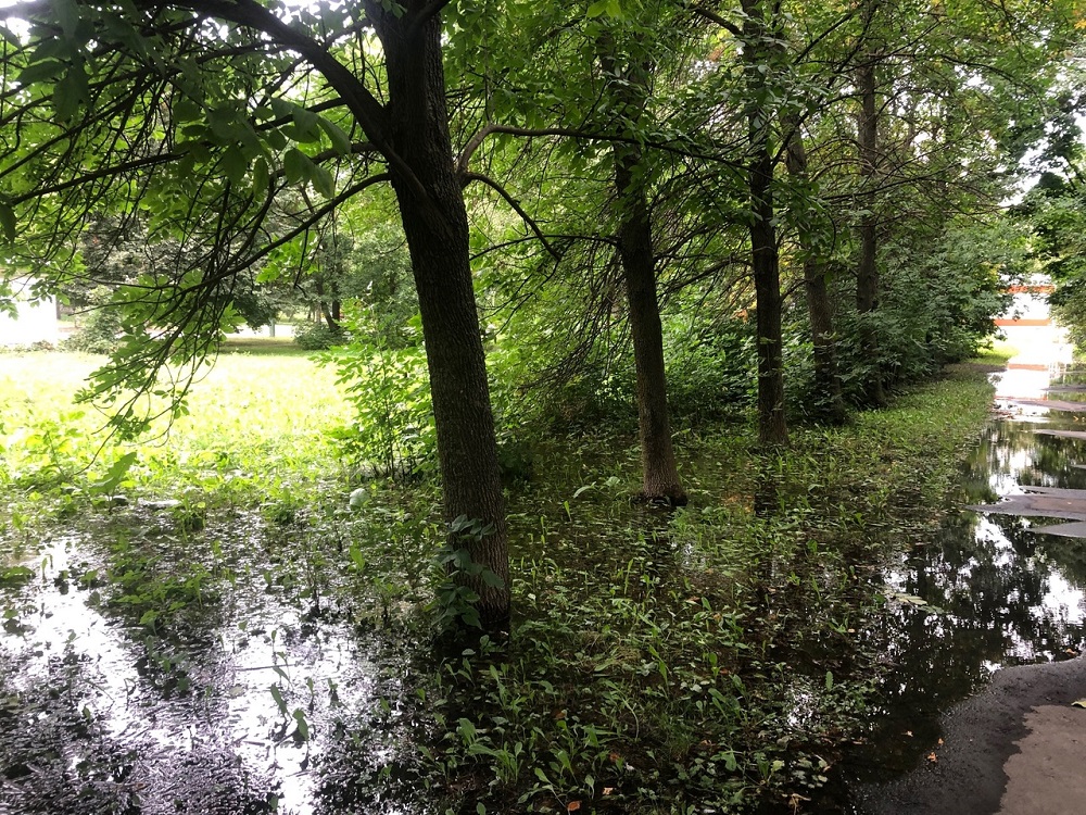 На улице Глазунова из-за прорыва воды в домах пензенцев черная плесень