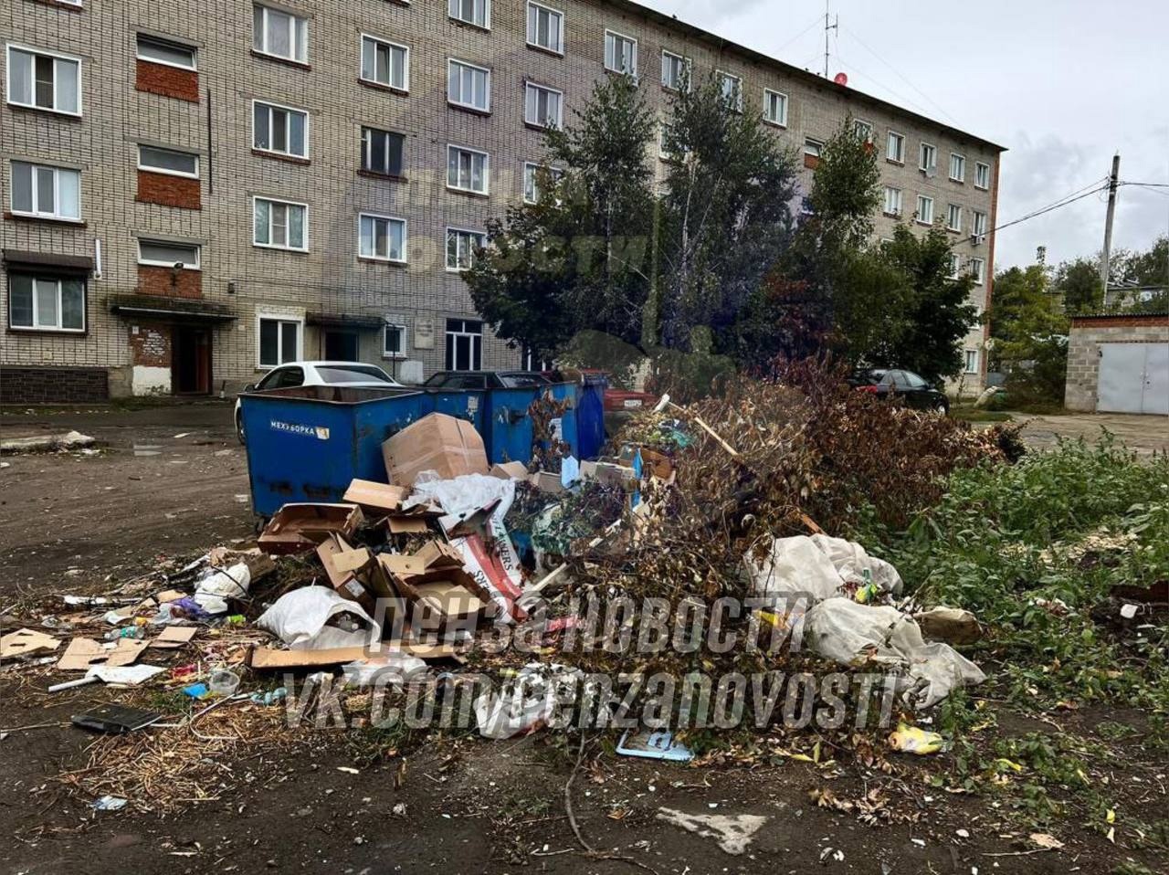 В Нижнем Ломове семьи мобилизованных вынуждены жить в сгнившем доме
