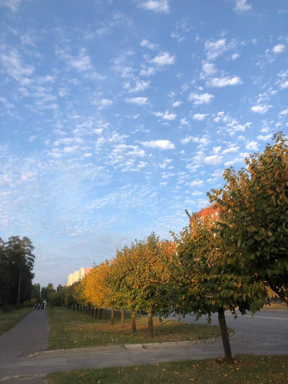 В Заречном учли опыт Пензы и отказались от строительства туалета в парке