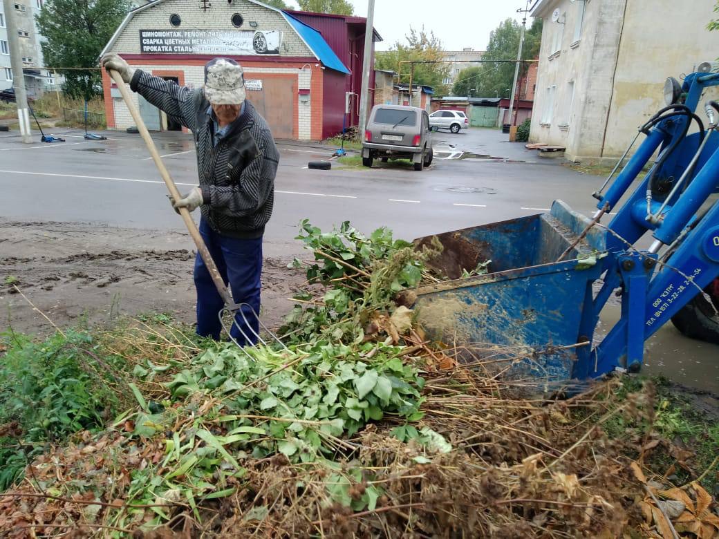 В Кузнецке рабочие разберутся с дикорастущим наркотическим растением