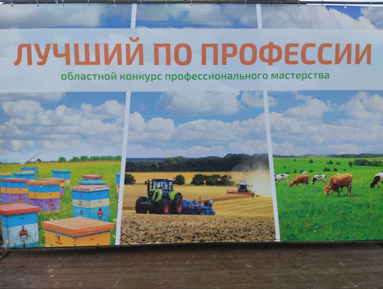 В Пензенской области определили победителей конкурса профессионального мастерства