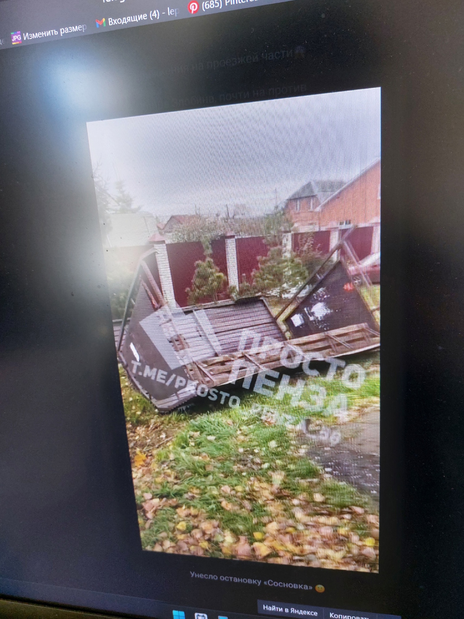 В Пензе ураганный ветер повалил деревья и остановку