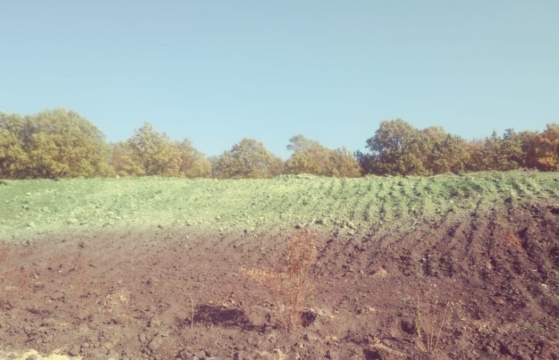 В Белинском районе начался биологический этап рекультивации свалки