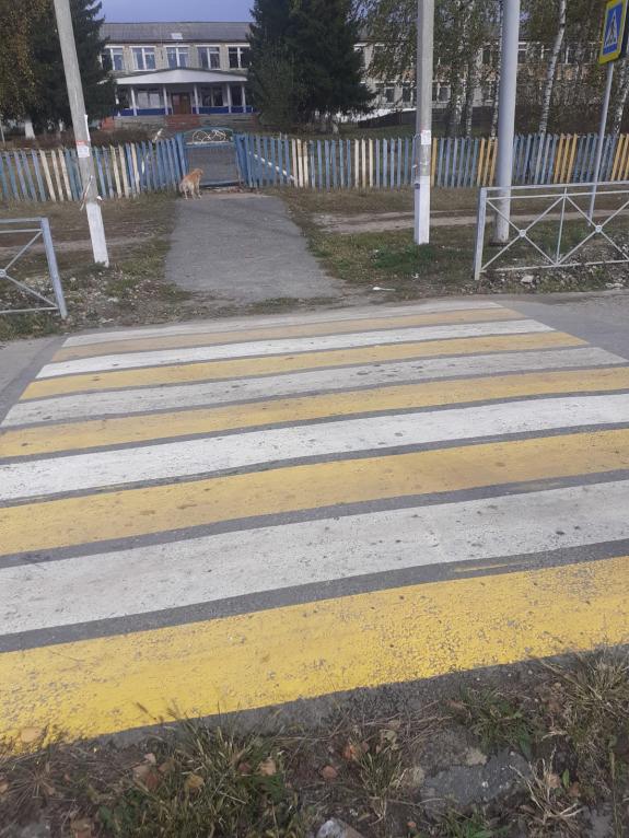 Пензенская прокуратура заинтересовалась отсутствием пешеходного перехода в селе Шемышейского района