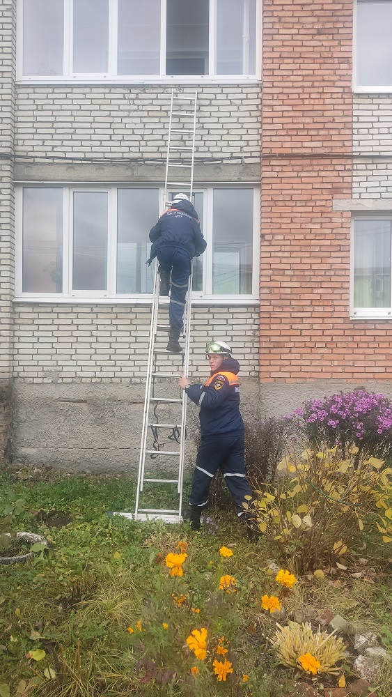 В Пензе маленький внук запер свою бабушку на балконе