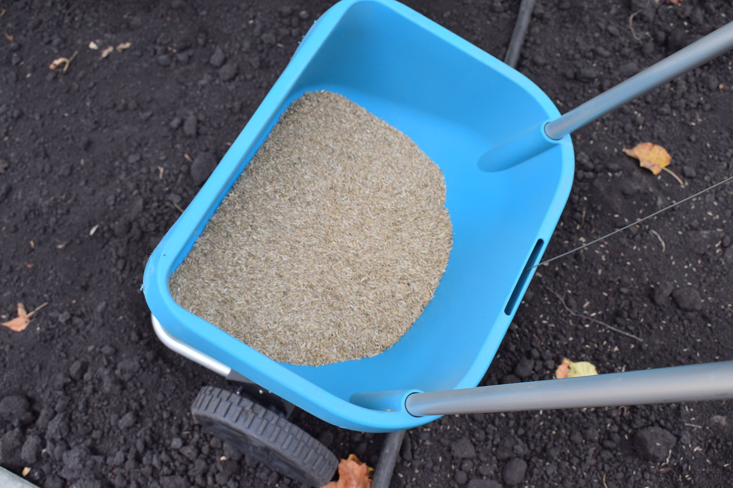 В сердобском парке «Березовая роща» начали сеять газон