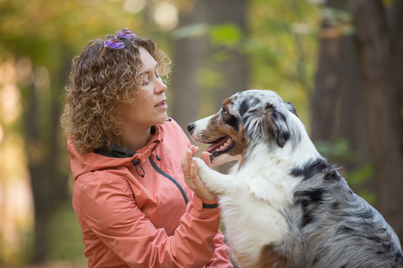 Пензенский кинолог объяснила, почему собаки грызут деревянные предметы