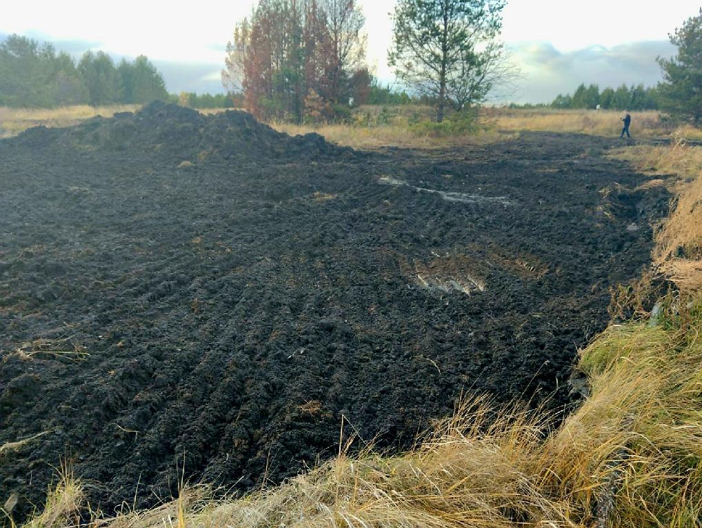 В Пензенской области прокуратура начала проверку из-за разлива нефтепродуктов