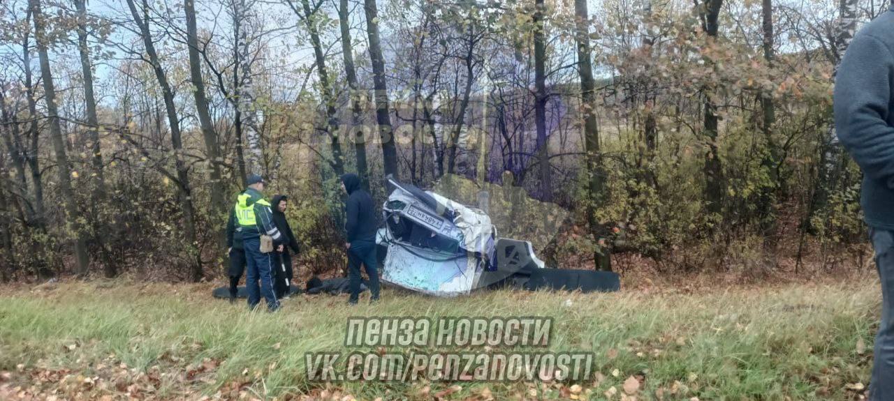 В Пензенской области на М5 водитель уснул за рулем и съехал с дороги