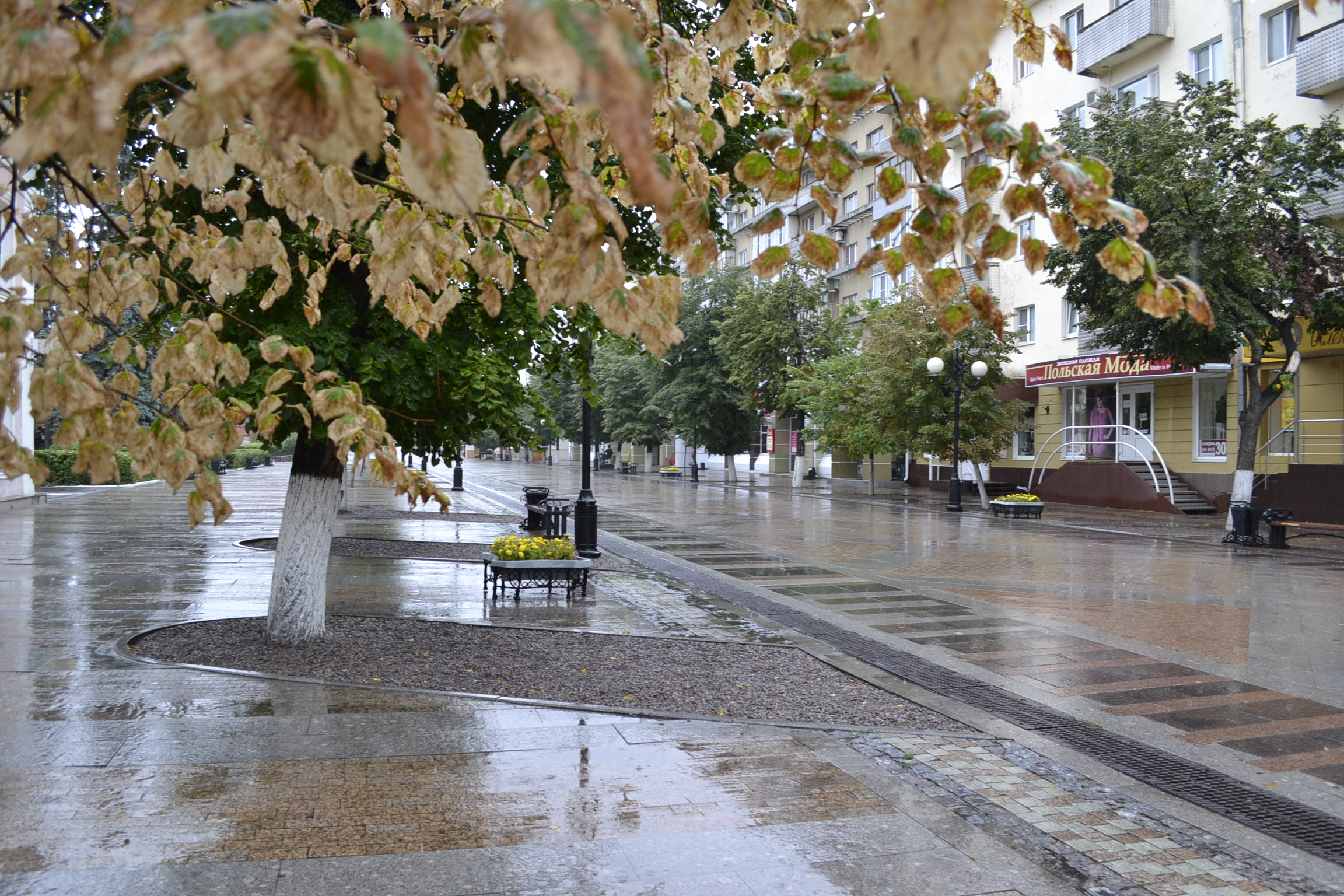 23 октября в Пензе +10 тепла и дождь