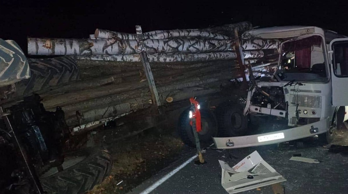 В соседнем от Пензы регионе в ДТП с трактором-лесовозом погибла девочка