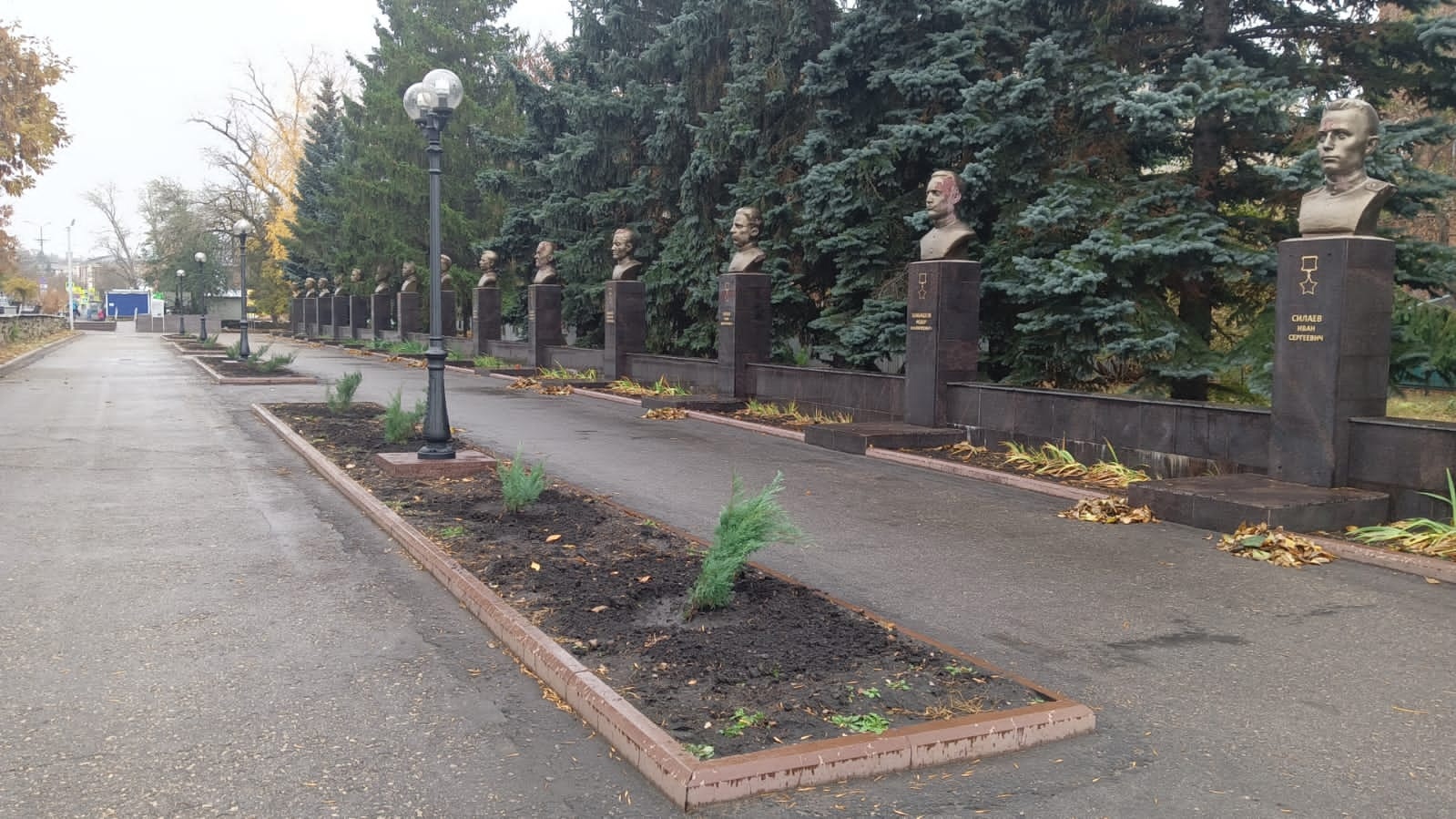 В Сердобске высадили саженцы туй и можжевельника