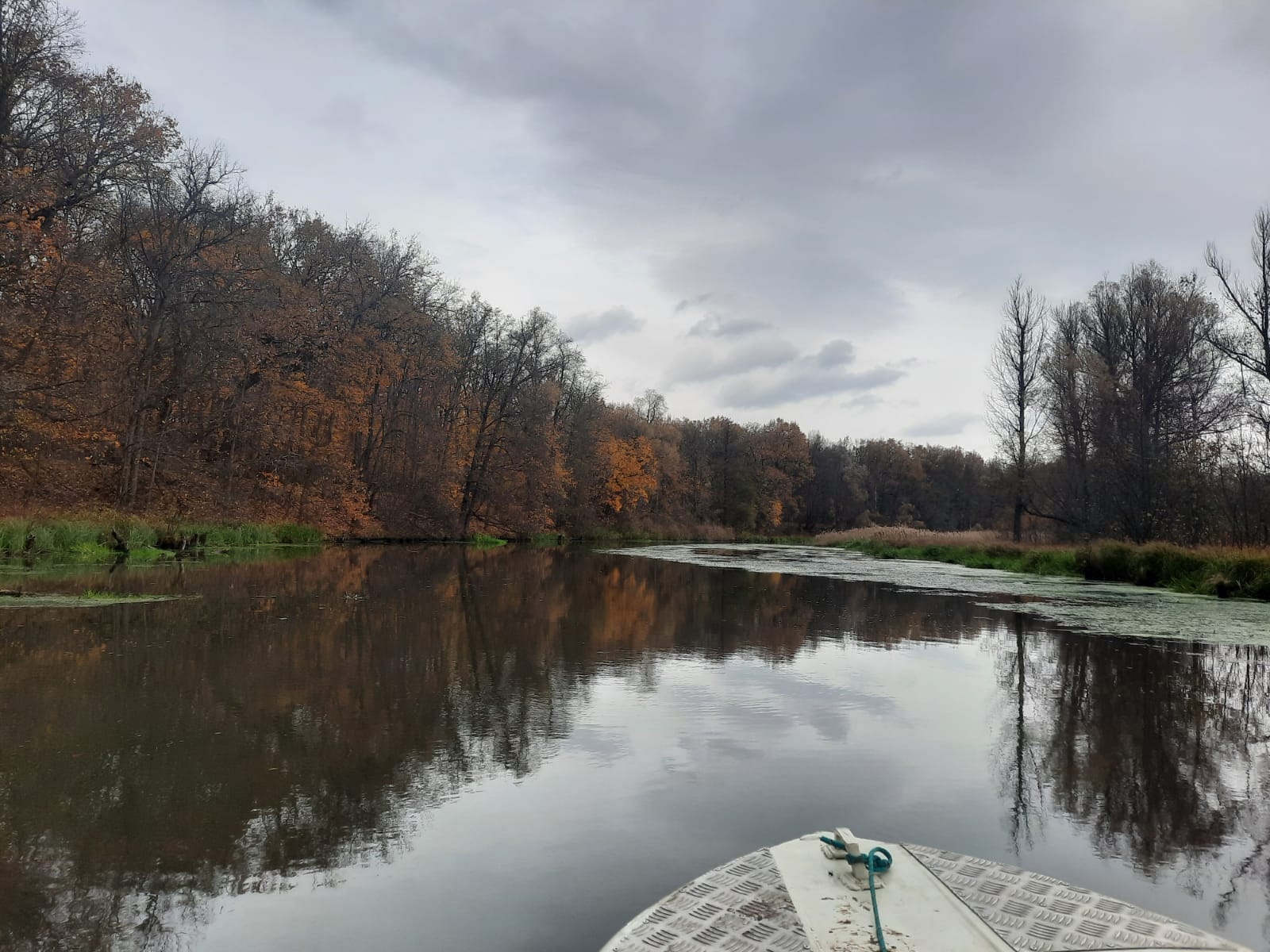 «Маяк» помог пензенцам очистить загрязненное русло Старой Суры