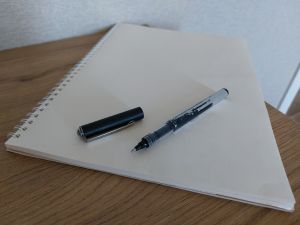 В России хотят ввести прогрессивную шкалу налогообложения