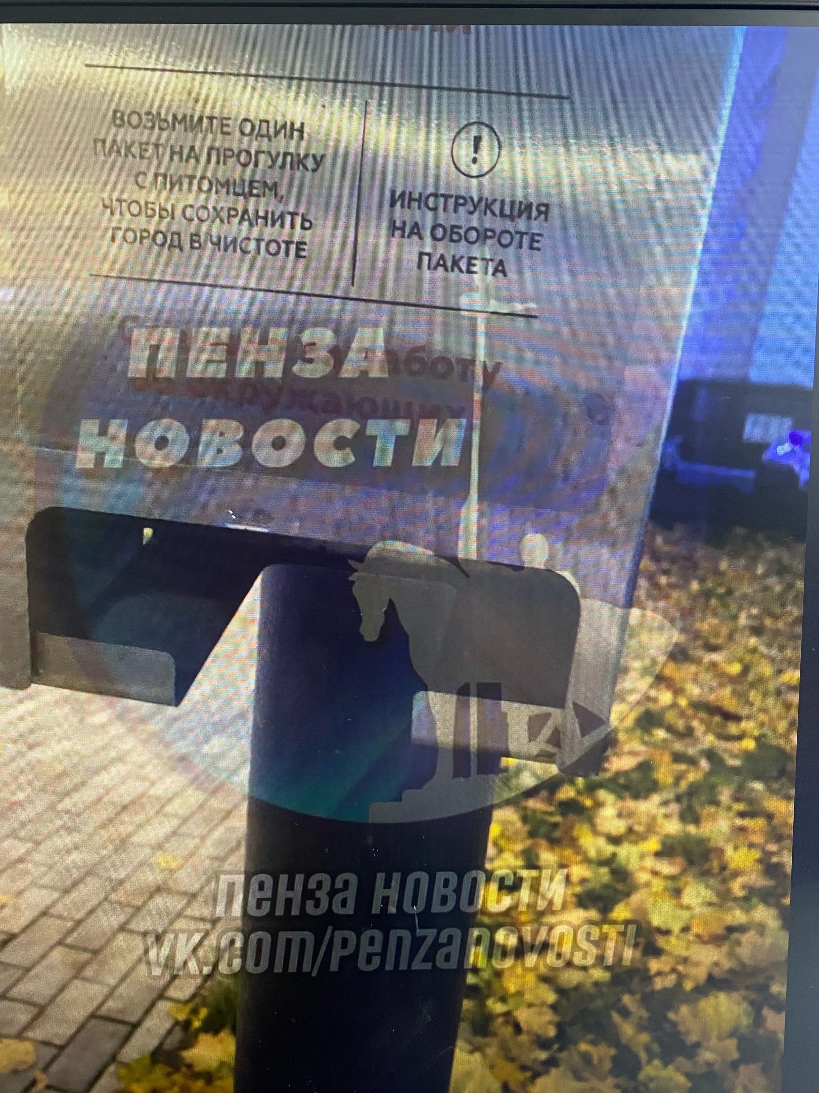 Пензенцы недовольны отсутствием пакетов для собачьих экскрементов на Олимпийской аллее