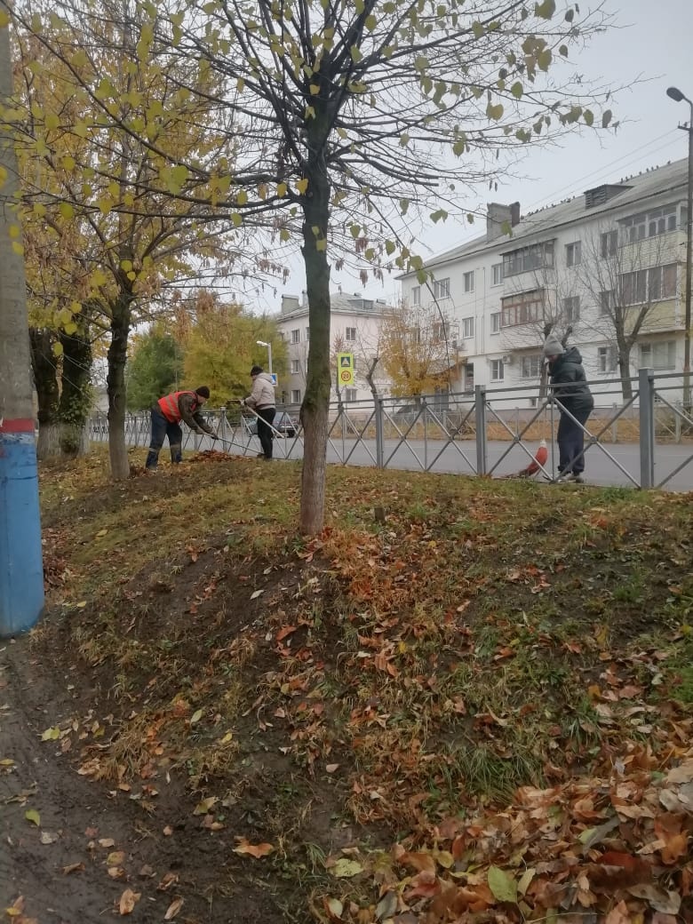 В Сердобске до ноября намереваются косить траву