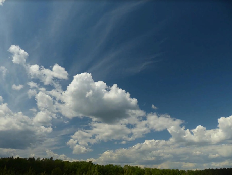 В Пензенской области продолжают сеять гречиху и лен