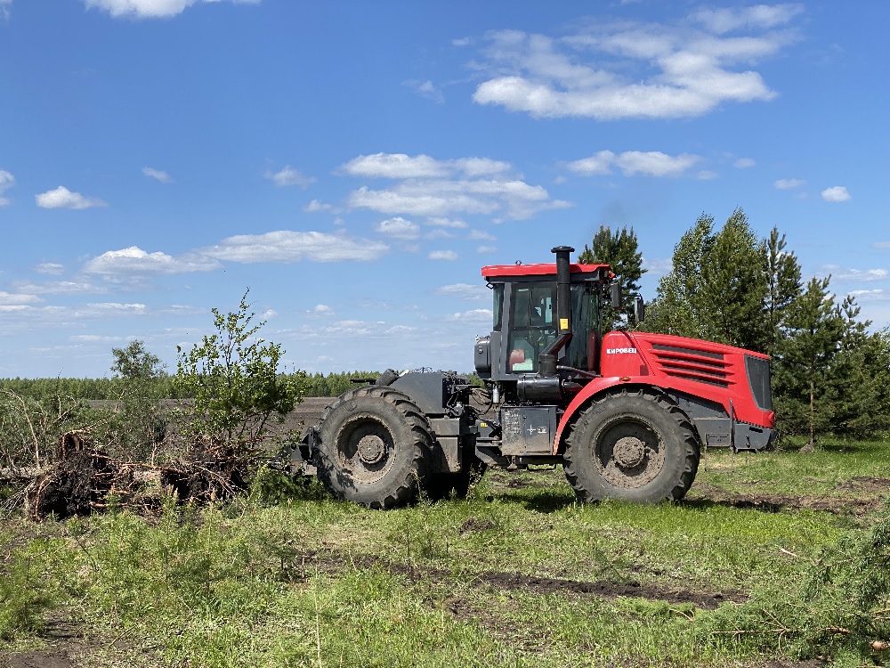 В Пензенской области больше 11,5 тысяч га неиспользуемых угодий ввели в оборот