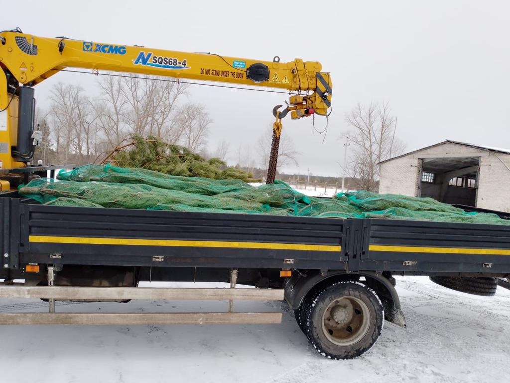 Из Кузнецка в Токмак отправили живые елки