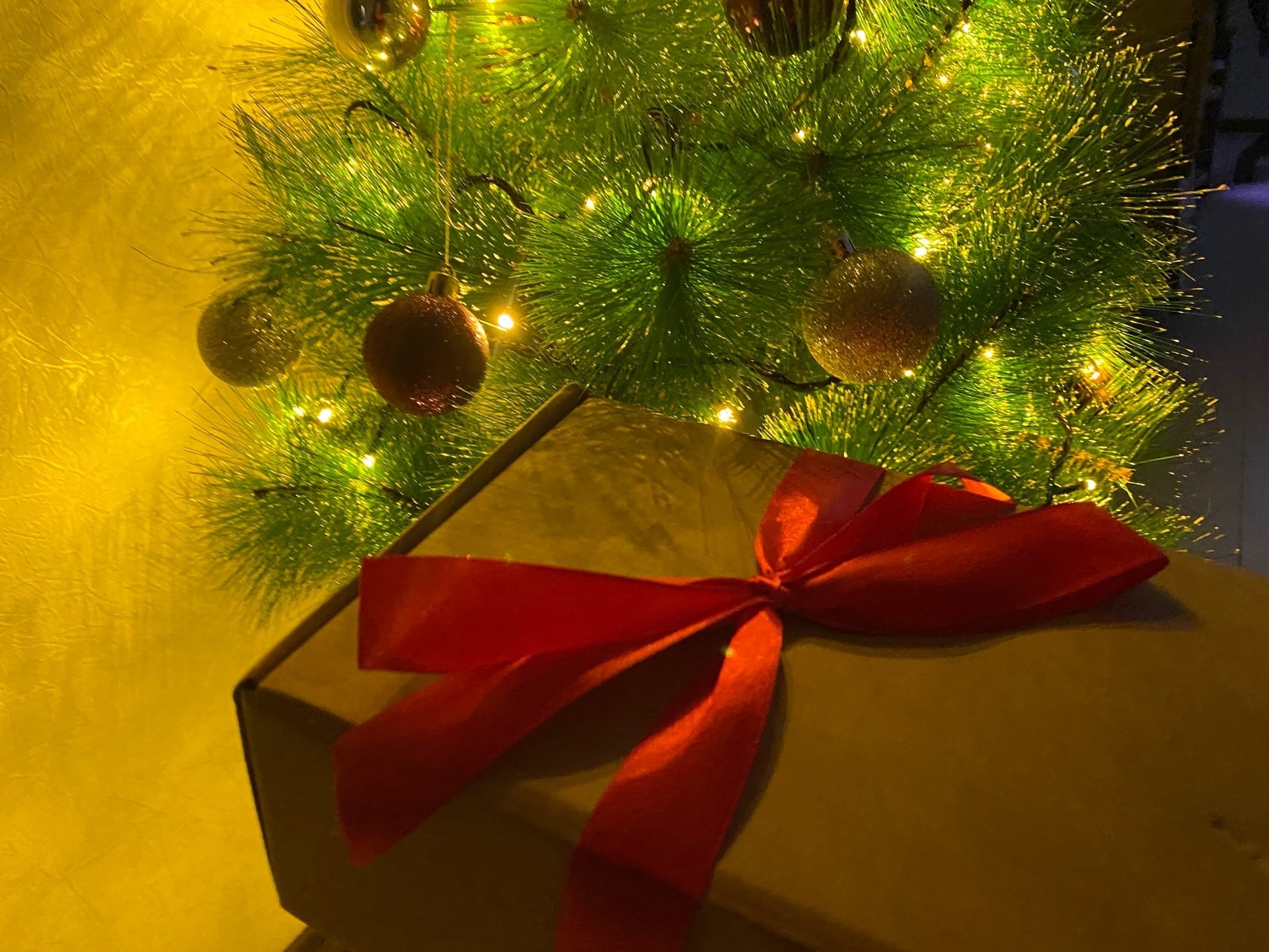 Детям из Пензы предложили поздравить Деда Мороза с днем рождения