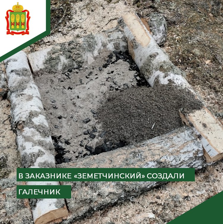 В Земетчинском районе зимующим птицам облегчили жизнь