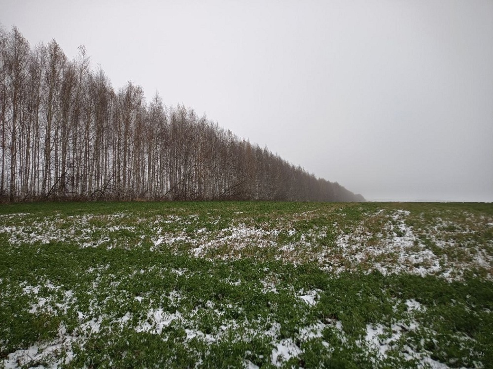 Под Самарой найдены тела 14 человек с повернутыми головами