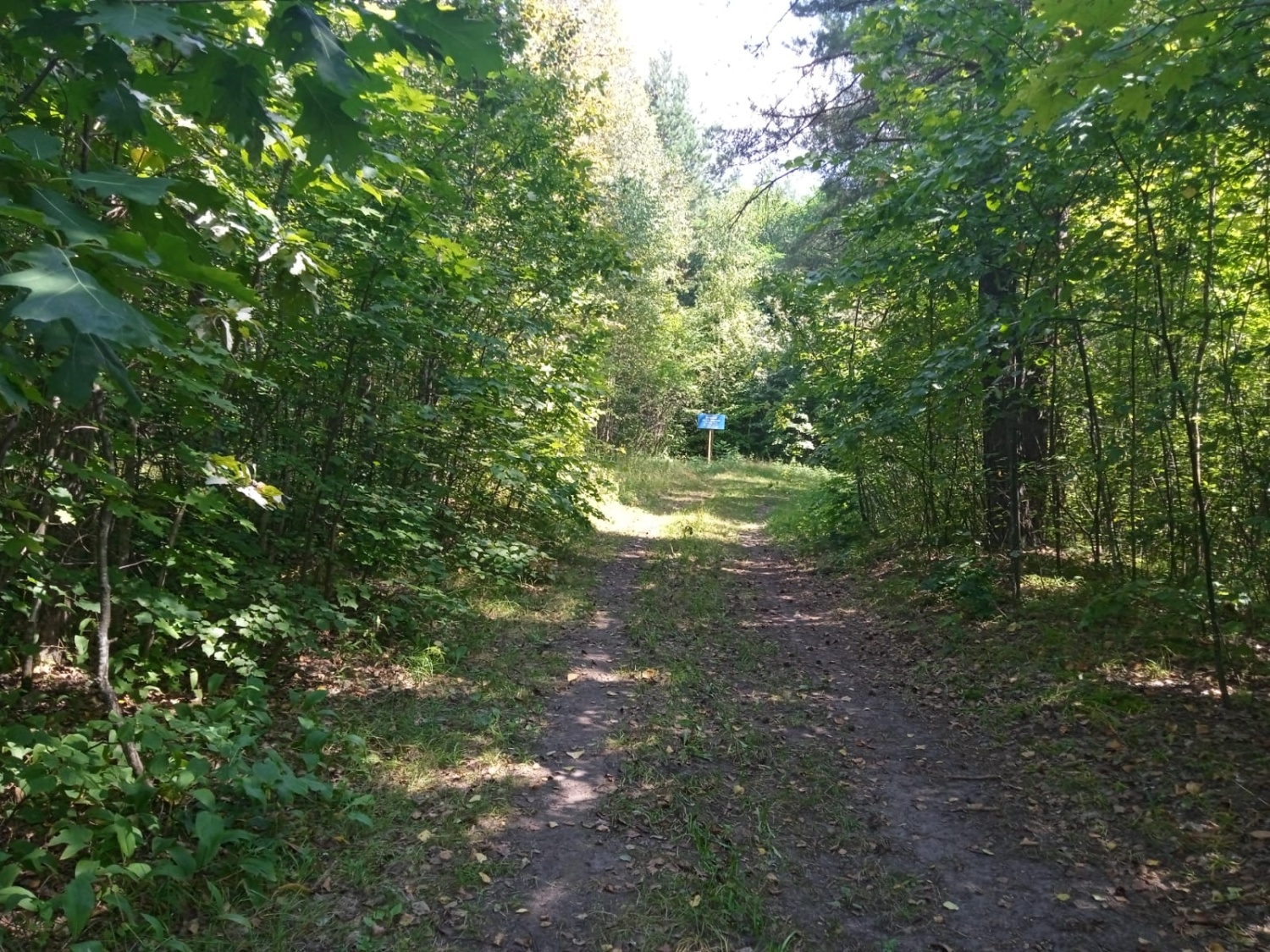 Жителя Пензы оштрафовали за сброс фекалий