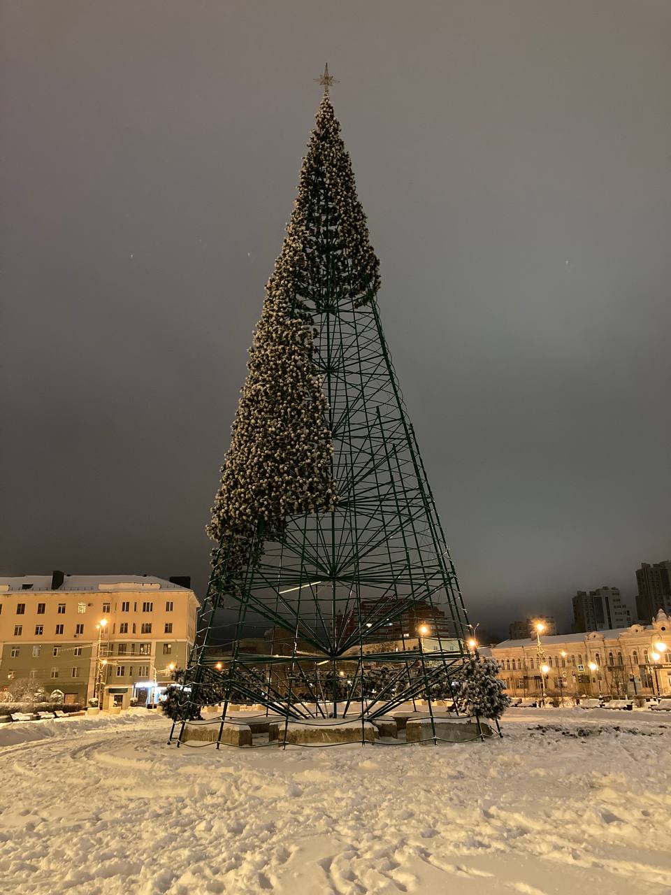 В Пензе главная елка «обросла» зелеными ветками