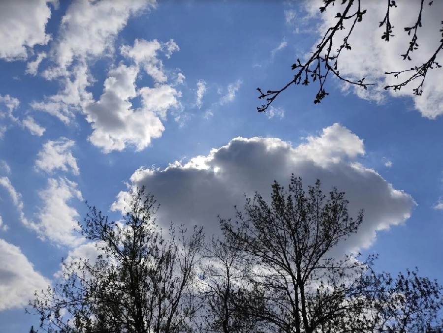 В пятницу пензенцев ждет теплая погода