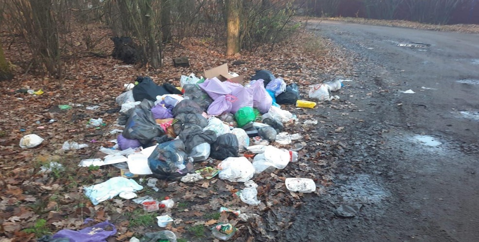 В Белинском образовалась свалка на месте убранных контейнеров