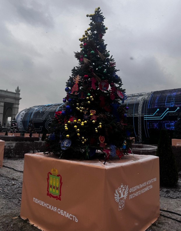 Жители региона могут увидеть пензенскую новогоднюю елку в Москве на ВДНХ