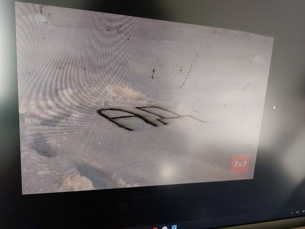 Жители Пензы оставили послания властям и коммунальщикам на сугробах