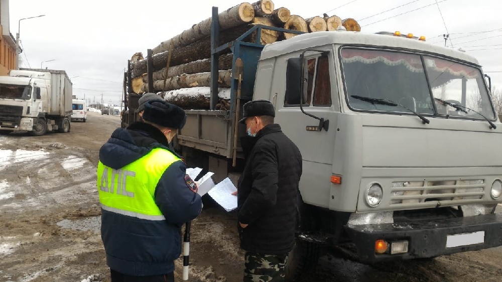 В Пензенской области обнаружено 7 нарушений лесного законодательства