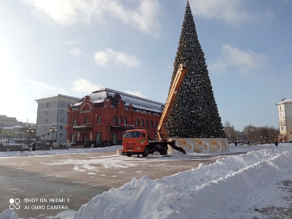 К Новому году в Пензе установят больше 50 новогодних елей