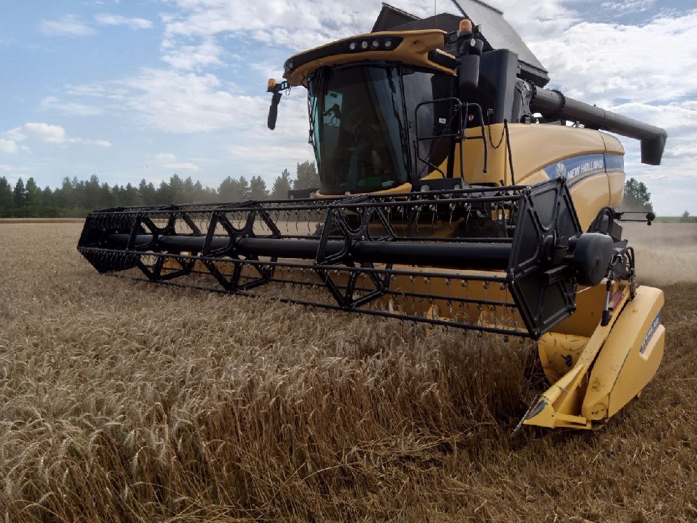 В Пензенской области завершается уборочная кампания